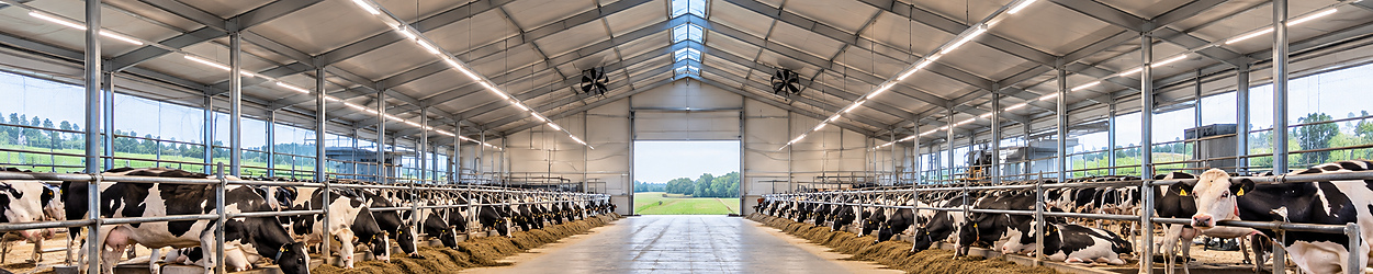 LED Stallbeleuchtung