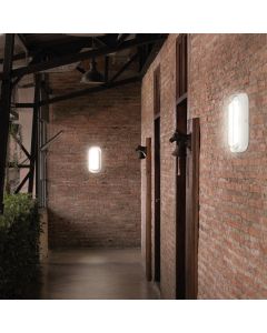 LED-Deckenleuchte oval 15 W CCT IP54 IK10 266×137 mm – weiß
