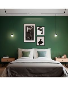 LED-Kugelpendelleuchte für 48V-Schiene 48V 5W K3000 Ø100 mm – Schwarz