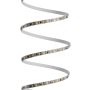 LED-Streifen SMD 2835 – 12 V – 9,6 W/m – 730 lm/m – IP20 – 30-m-Rolle – Foto 3